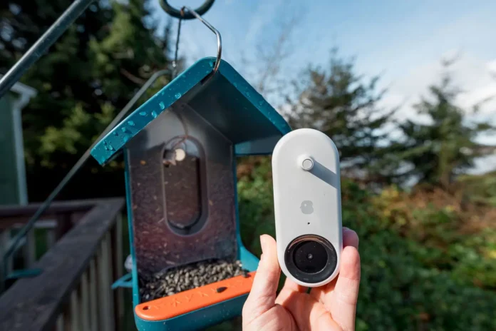 Best Bird Feeder Camera